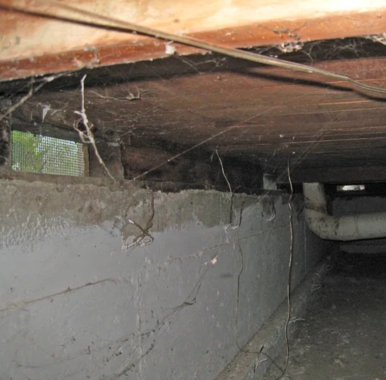 Crawlspace Cleaning & Sanitation in Sammamish, WA