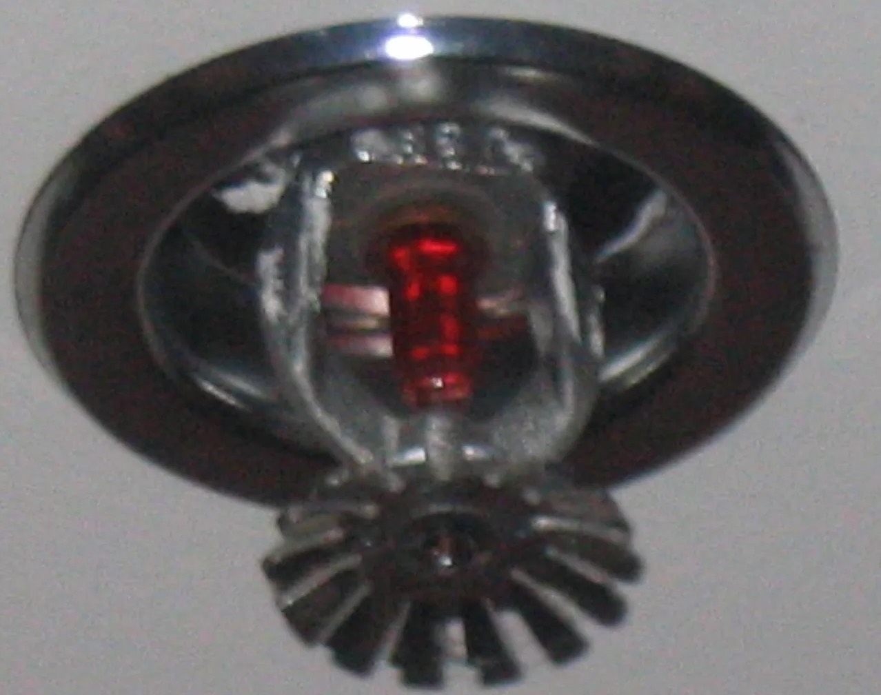 Sprinkler System Water Removal in Brier, WA