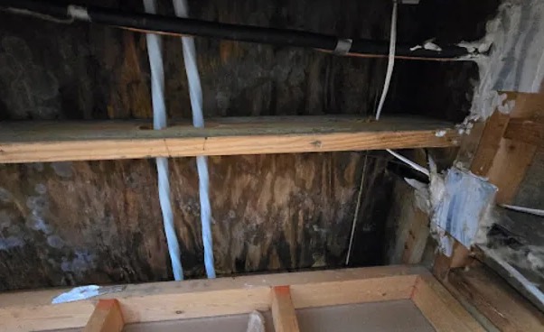 Emergency Tarping in Sammamish, WA