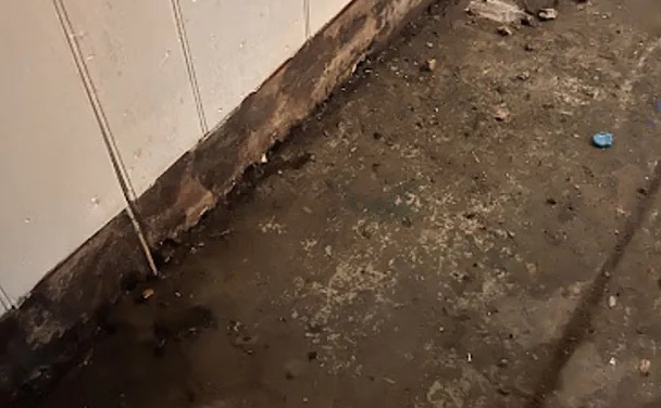 Crime Scene Cleanup in Sammamish, WA